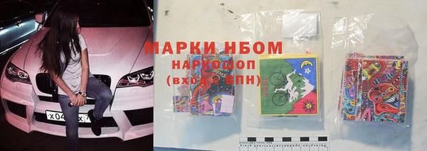сатива Волосово