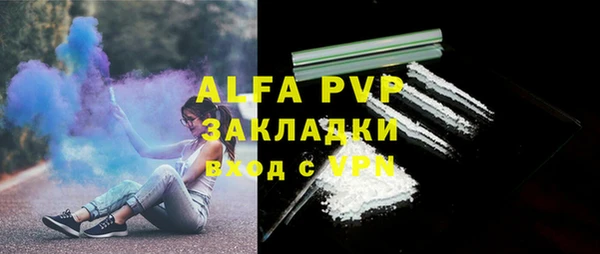 сатива Волосово
