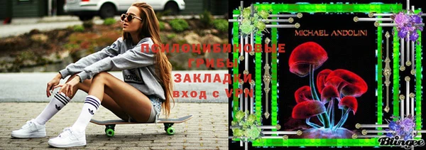 амф Володарск