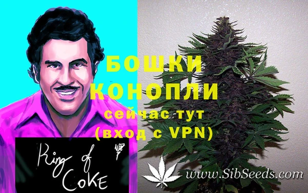 сатива Волосово