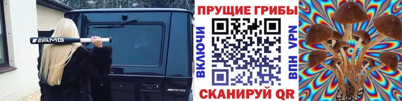 Галлюциногенные грибы Psilocybine cubensis  где можно купить   Ирбит 